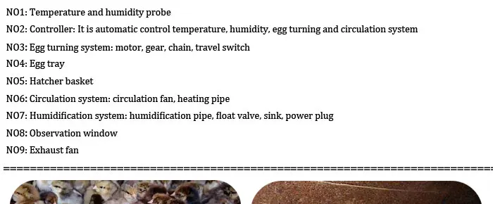 Small Farm Chicken Thermometer Hygrometer Poultry Small Egg Incubator Price Incubadoraor 1056 Eggs