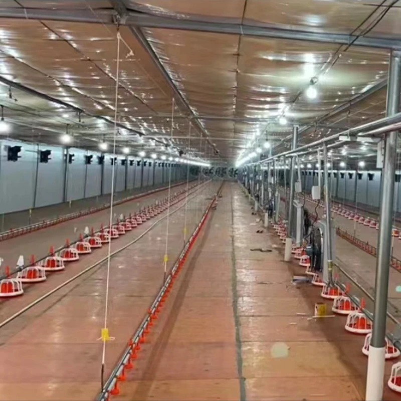 Full-Automatic Poultry Farming Equipment for Broiler Breeding Chicken Shed/Chicken House with Efficient Chicken Bird Feeders