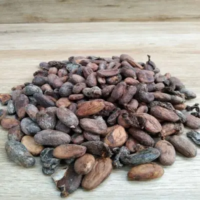 100% Quality roasted cocoa beans for sale Bulk cocoa beans/Cocoa Beans