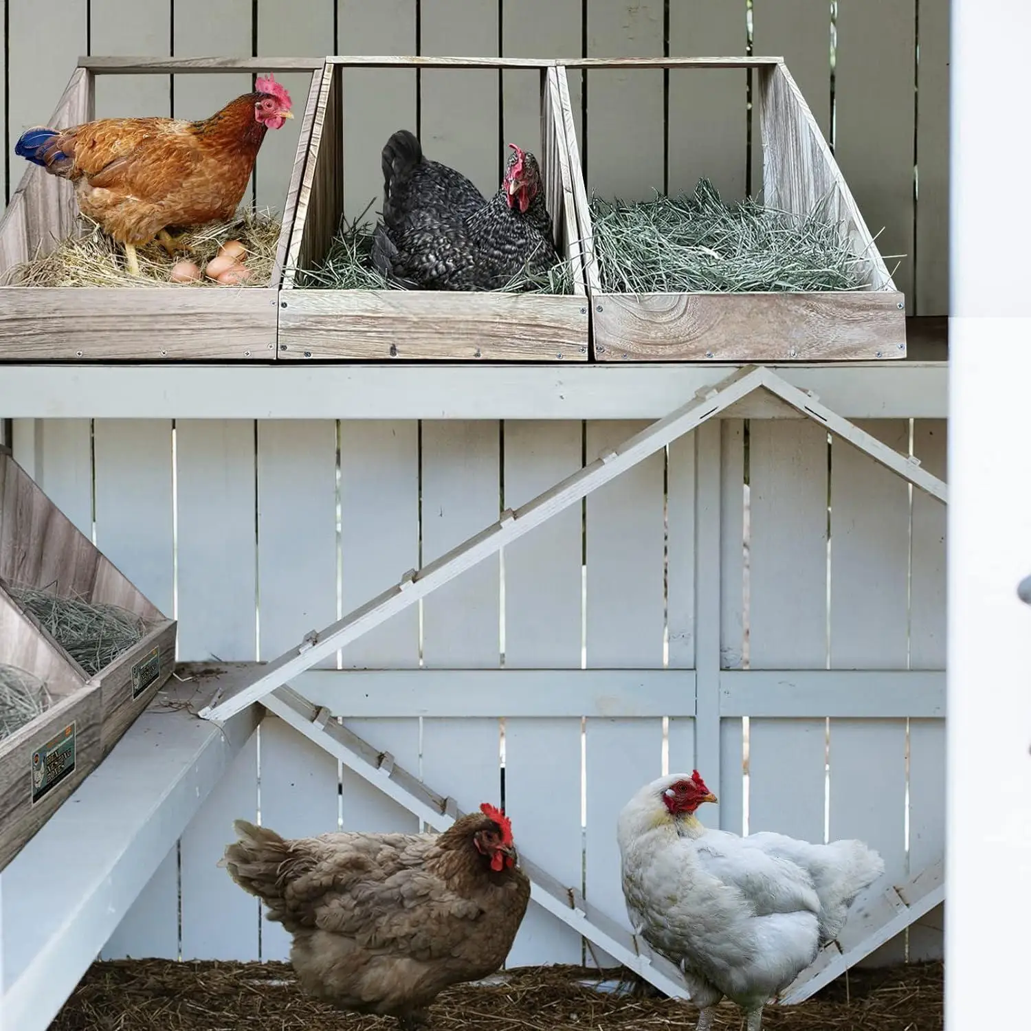 Durable and easy to assemble single compartment large chicken, duck, and poultry nest box