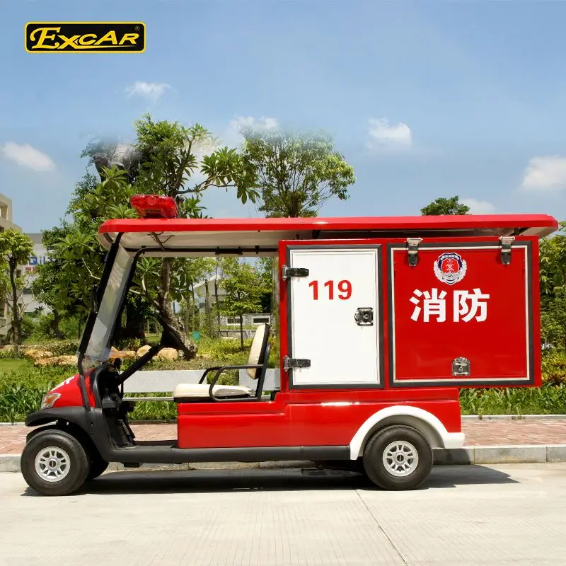 Electric 2 seater mini fire electric car/Trojan Battery/Curtis Controller