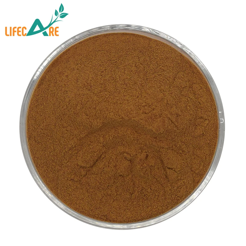 Wholesale Natural Witch Hazel Powder Witch Hazel Extract