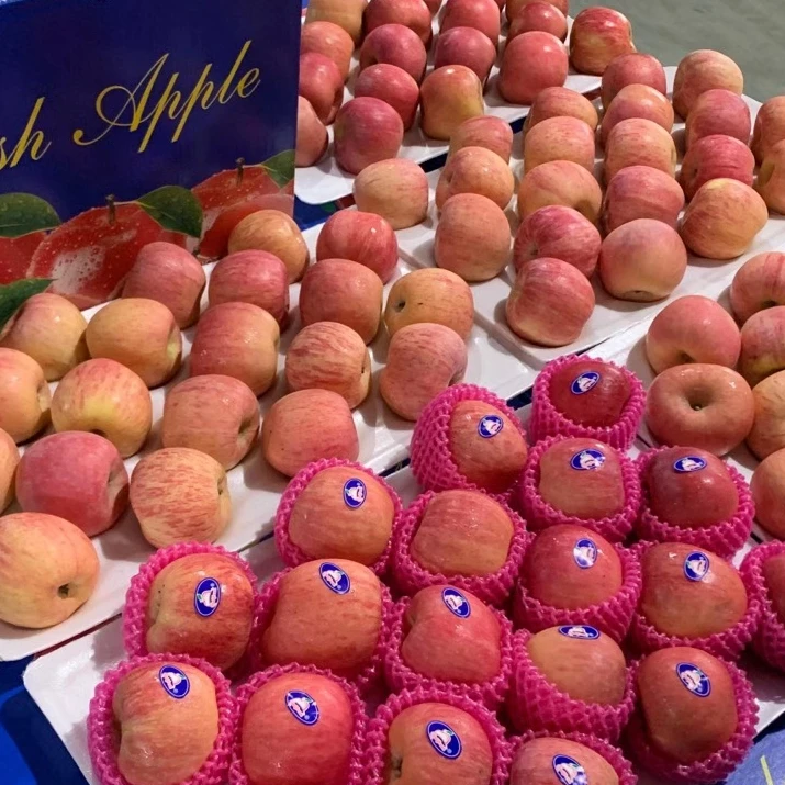 
 Обычный тип культивирования и свежие яблочные красные яблоки Runquan  