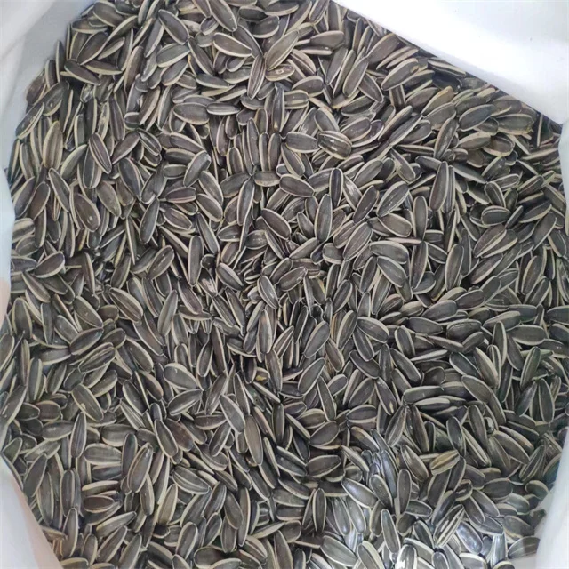 361 363 601 chinese Sunflower Seeds new crop sunflower seeds kernels