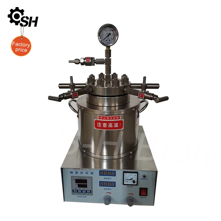 100ml Stainless Steel Magnetic Stirred High Pressure Chemical Reactor