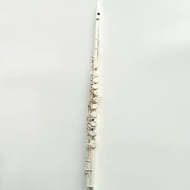 Professional Cupronickel16 Holes Silver Plated Flute for Sale Instrument
