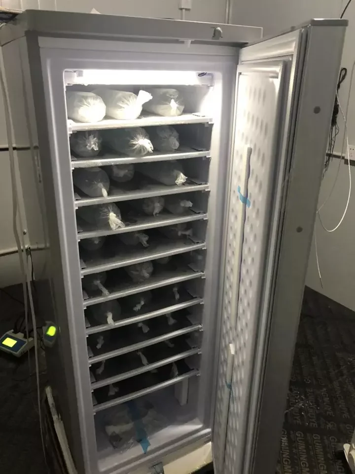 60-70KG/24h Ice production Solar Ice maker freezer