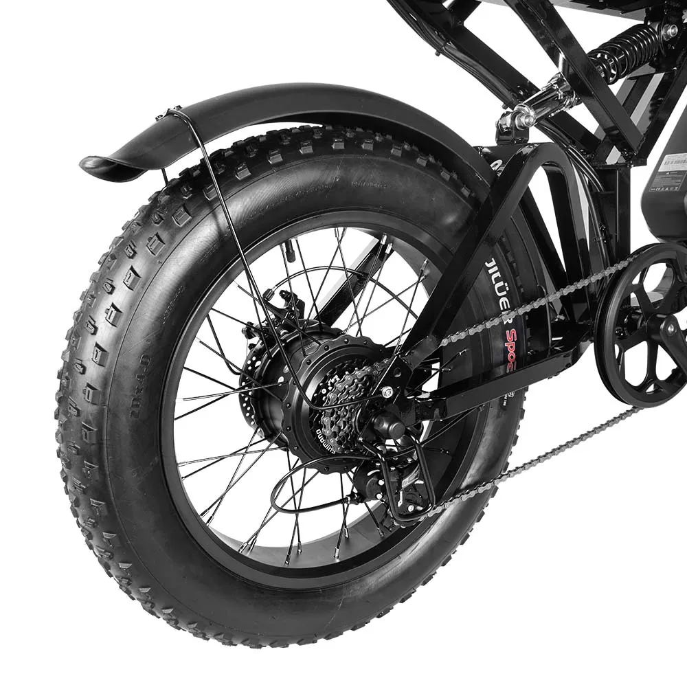 China Factory E-bike Mountain Bicycle FXH009 Double Suspension 750W 1000w Retro Fat Tire Electric Bike Disc Brake in EU/US