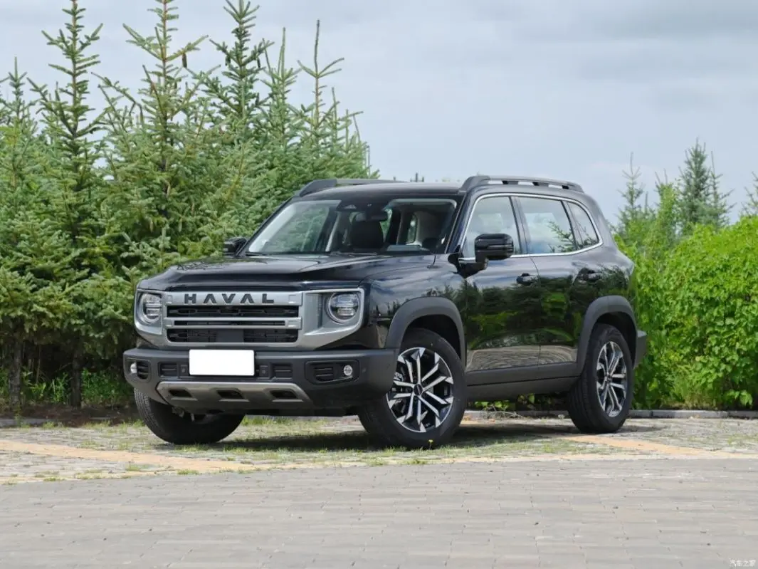 2024 Most Popular Large Space HAVAL DARGO 2024 2.0T Four Wheel Drive Chinese Countryside Dog Edition new cars