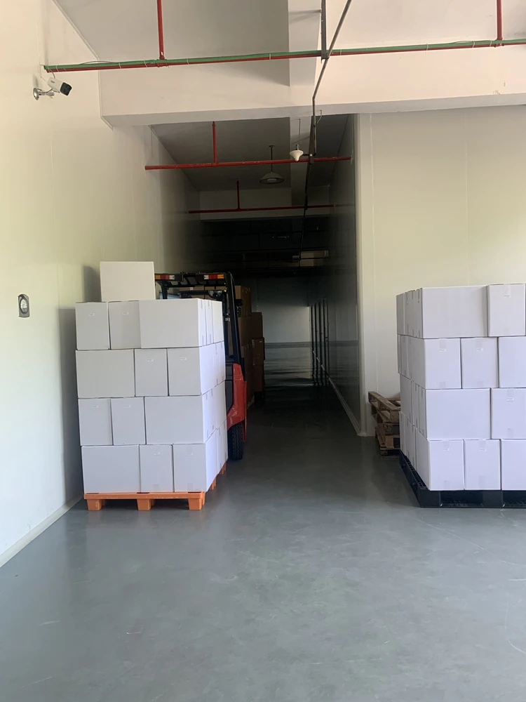 Custom Mold Lab Robotic Pipette Tips Automation Micro 1000Ul Pipette Tips for T E C A N