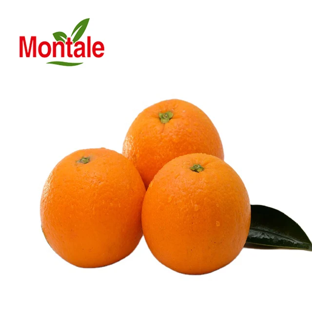 Montale Top quality nutrients fresh newhall orange Natural Cultivation type orange