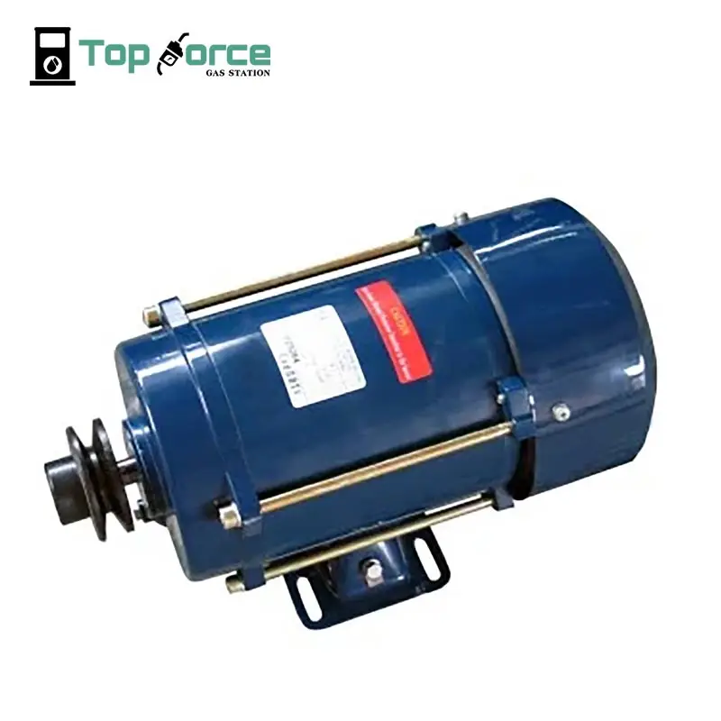 
 Высокопроизводительный дизельный двигатель взрывозащищенный переменный ток 220 В 380 в топливный бензиновый взрывозащищенный фазовый двигатель для дозатора автозаправочной станции  