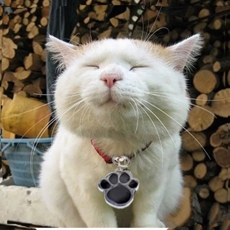 Custom Logo Personalized Dog Identification Plate Harnesses Air Tag Paw Shape Pet ID Tags