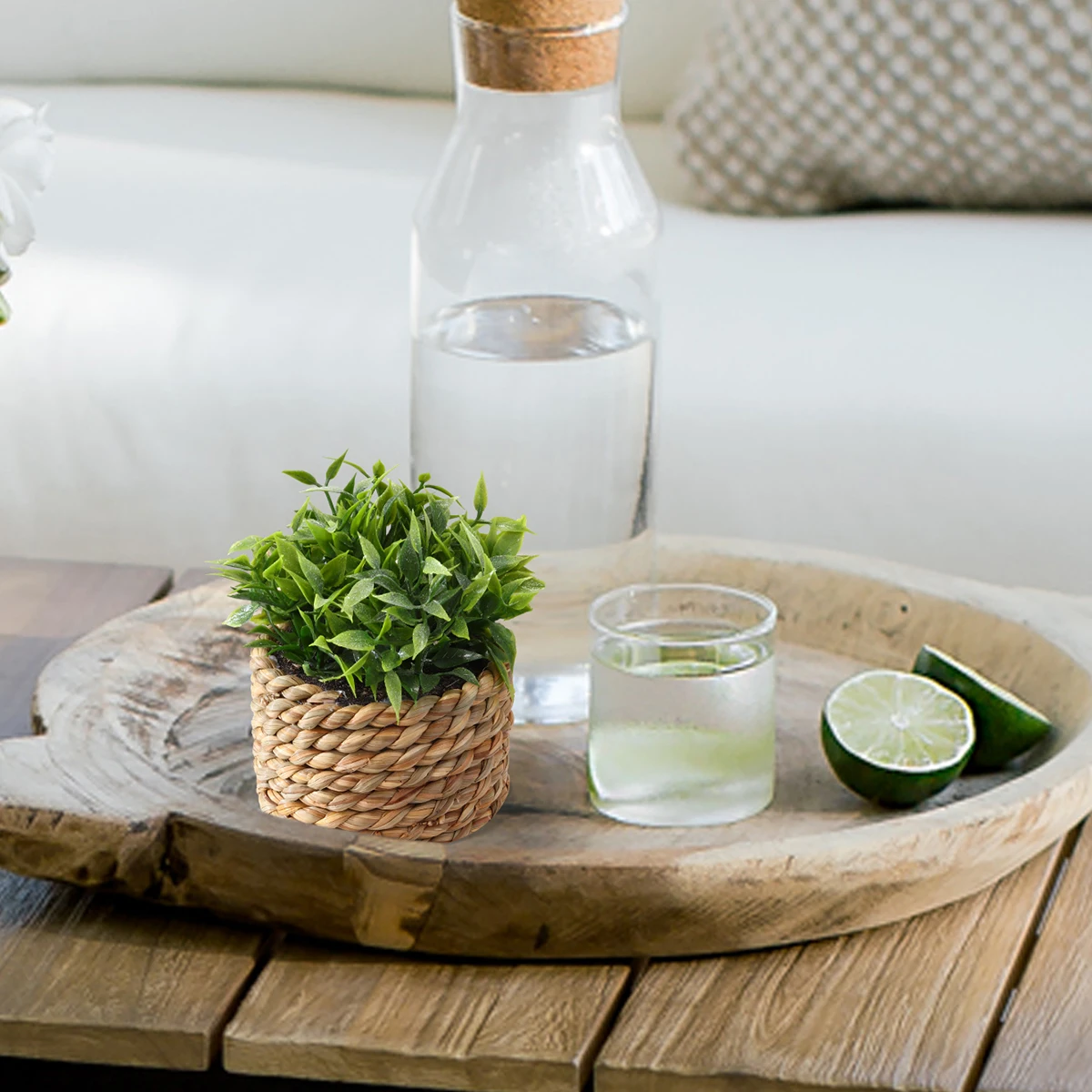 H202450 Hot Sale Mini Bonsai Crafts Mini Succulent Plant Models Artificial Succulent Ornament Artificial Plant in Pot