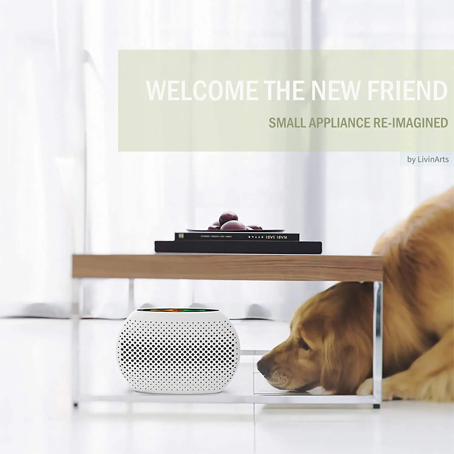 Портативный возобновляемый мини-осушитель поглотитель влаги для сейфов ванной