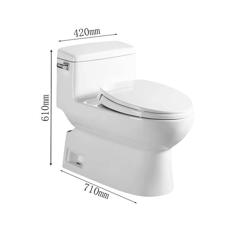 SAMIYAH Wc Single Flush Sitting Water Closet Floor Mounted Siphonic Water Ceramic Toilet Bowl With Soft Closing Seat Cover