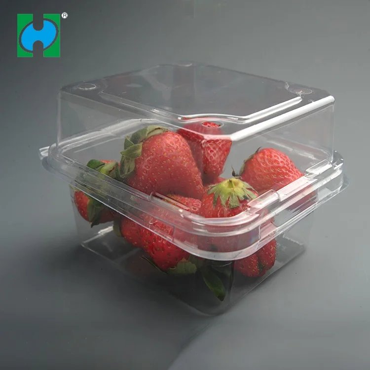 Custom Transparent Disposable Plastic Fruit Packaging Container Covers Lids Dry Containers