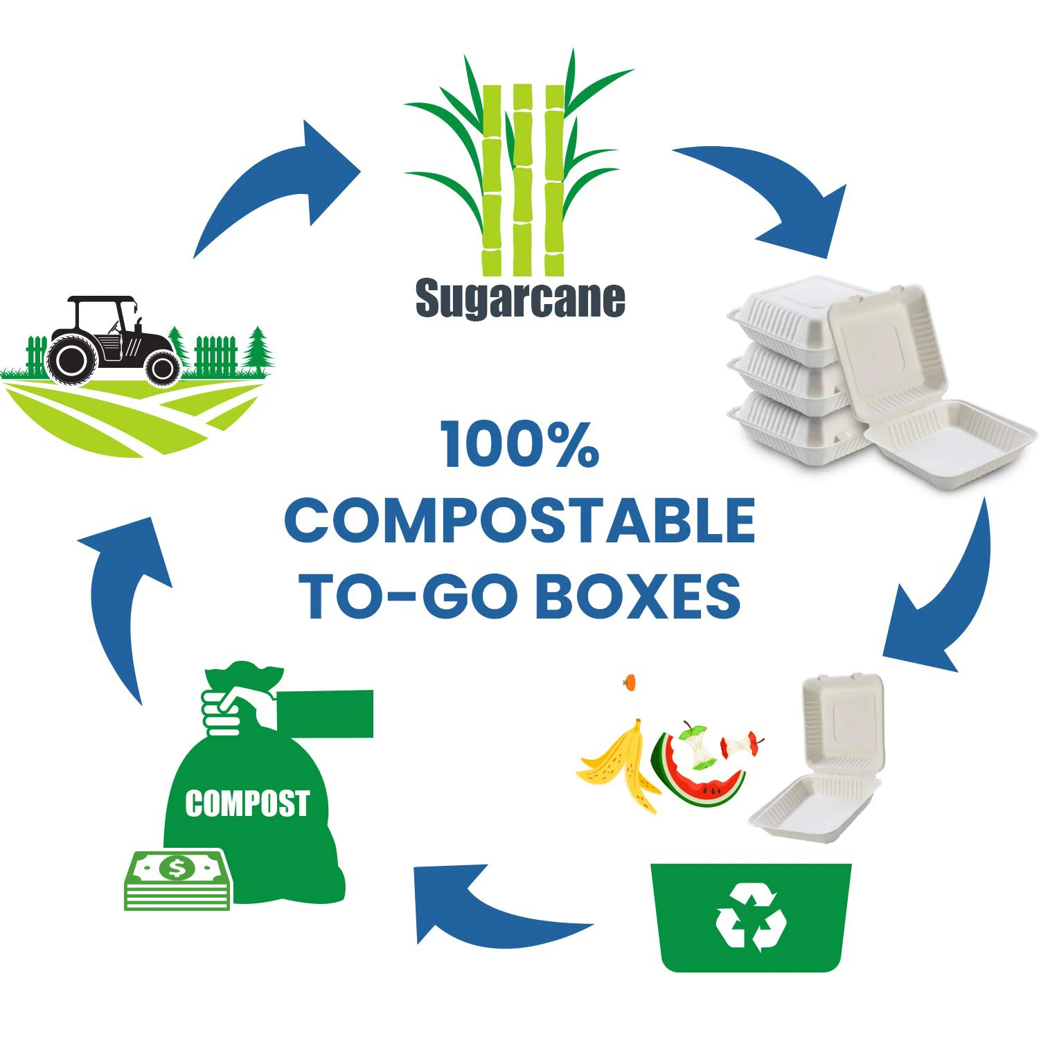 Wholesale Custom Compostable Biodegradable Eco Friendly Clamshell Food Packaging