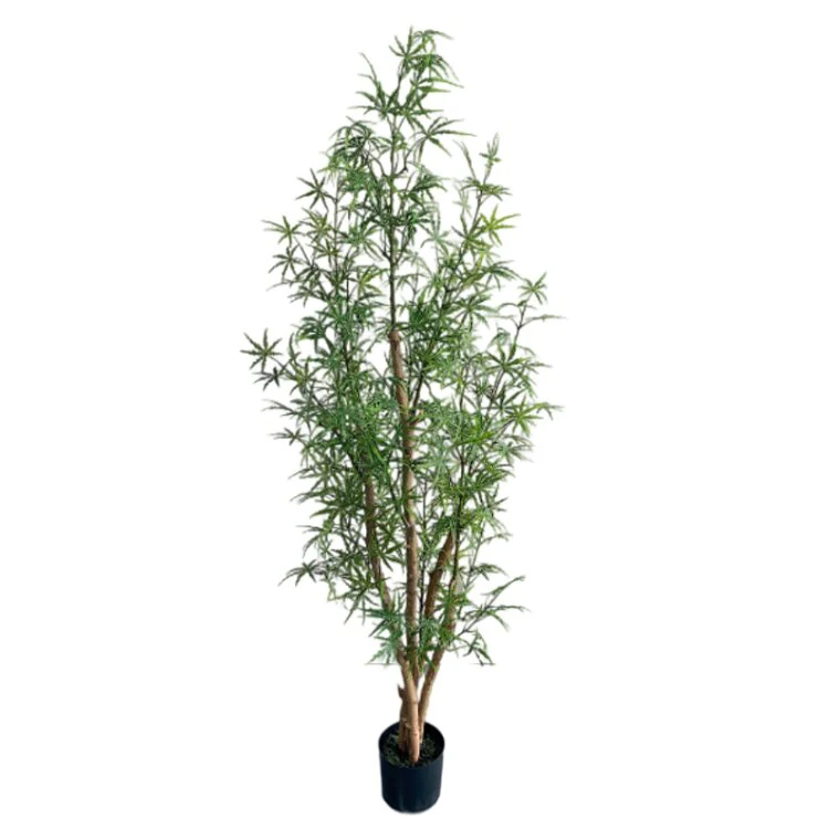 Real Touch 160cm High Dizygotheca Elegantissima Plant Tree Maceta Planta Artificial for Drawing Room Decor Arboles Trees