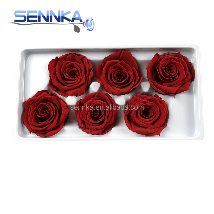 Dubai new Batch preserved forever love flower rose/best selling preserved roses