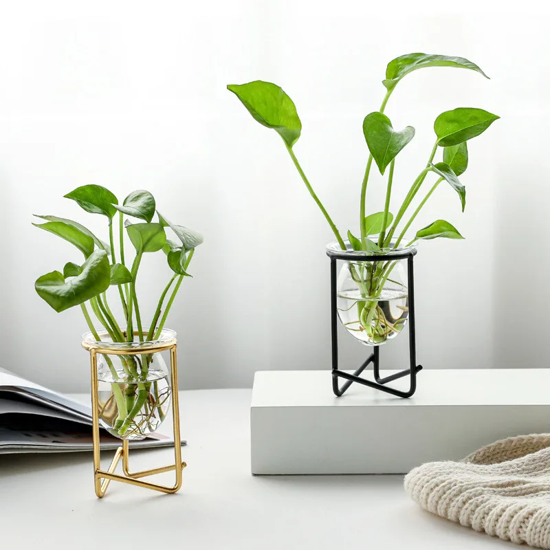 Glass Plant Terrarium Wooden Stand Plants Decoration Test Tube Vase Metal Vase Holder