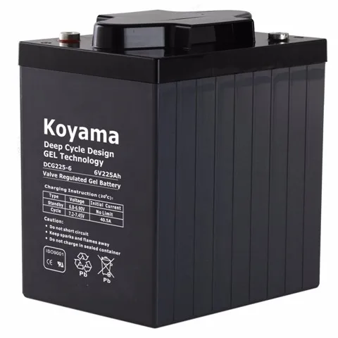 DC225-6 6V 225Ah Deep Cycle AGM Battery 12V Street Sweeper Power Sealed Free Maintenance for Energy Storage and Boats