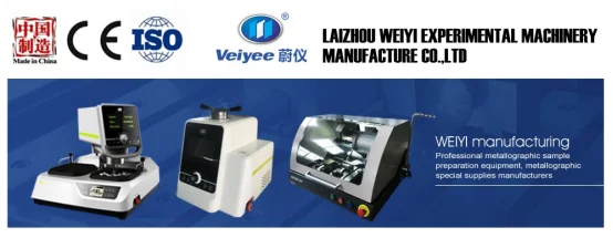 paste-pic-dp_uuid_397zp