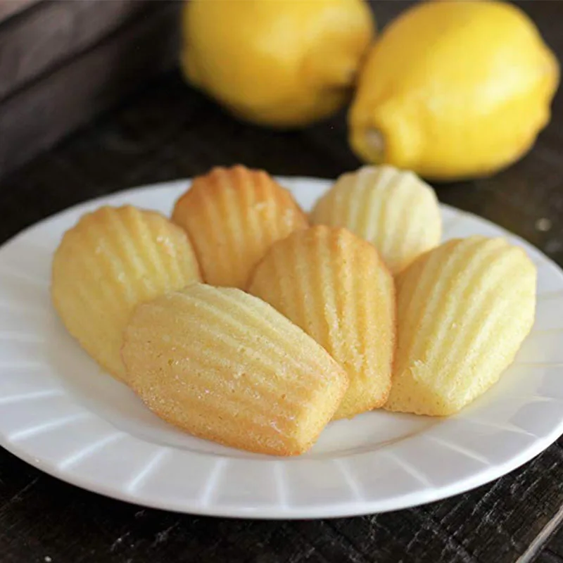 20 Cavity Silicone Shell Madeleine Molds for Jelly Ice Molds Chocolate Silicone rubber Mould Bakeware Non-stick