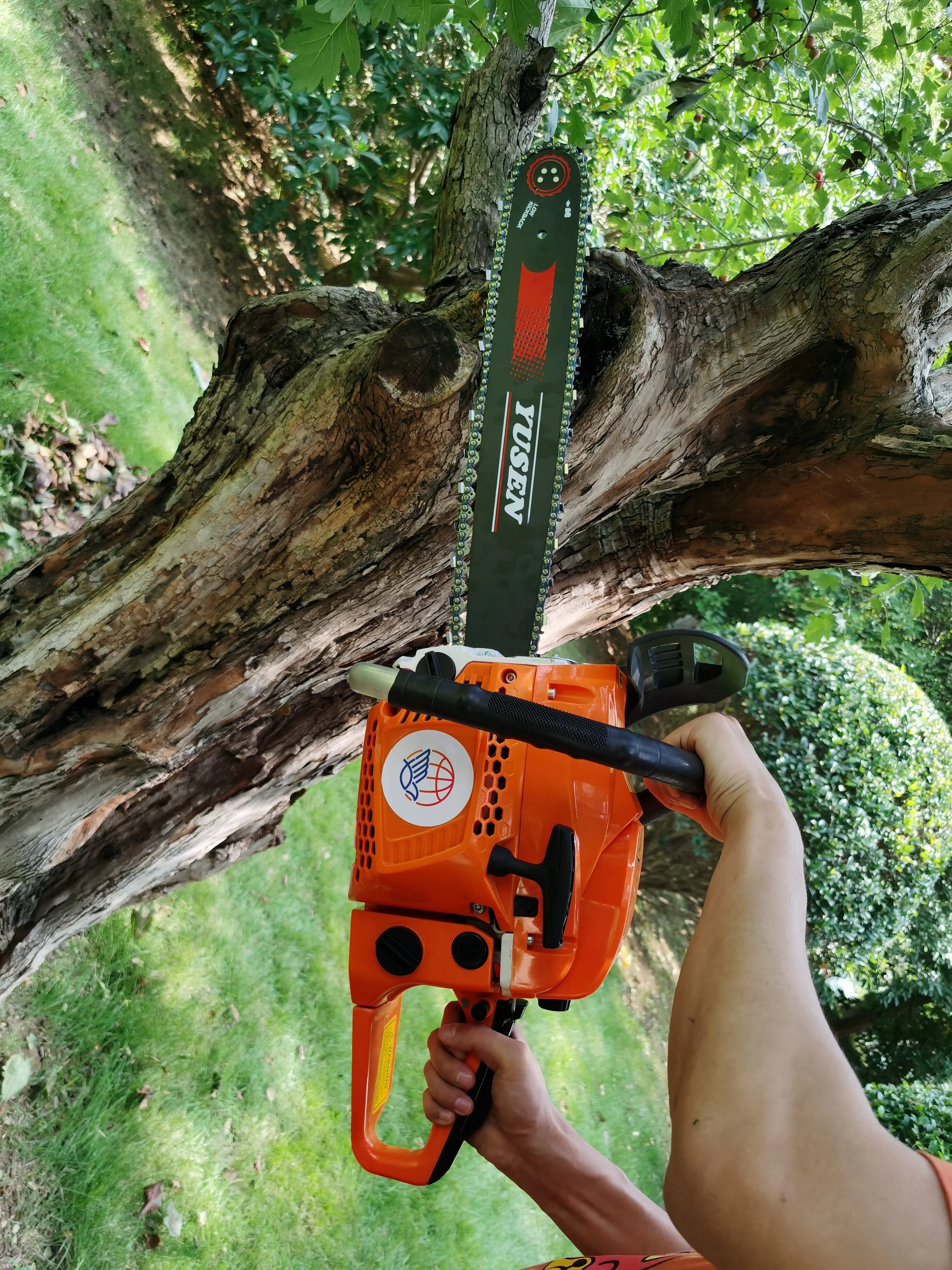 China Suppliers Garden Tool 2-Stroke Gas Chainsaw Big Power Petrol Chainsaw