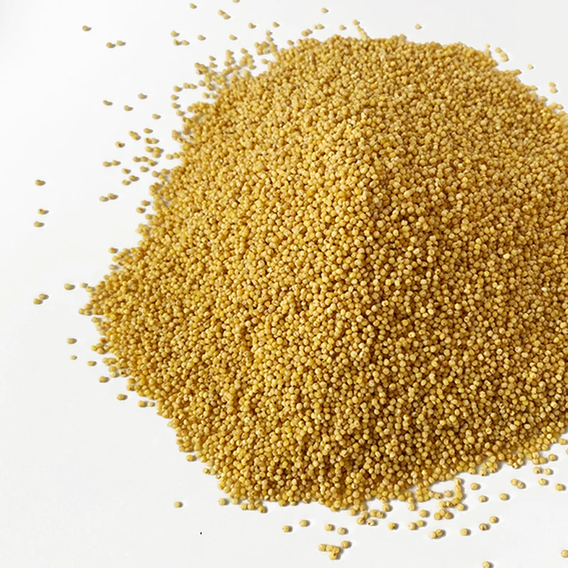 Golden supply Low Price Wholesale New Crop bulk hulled yellow pearl millet on sale