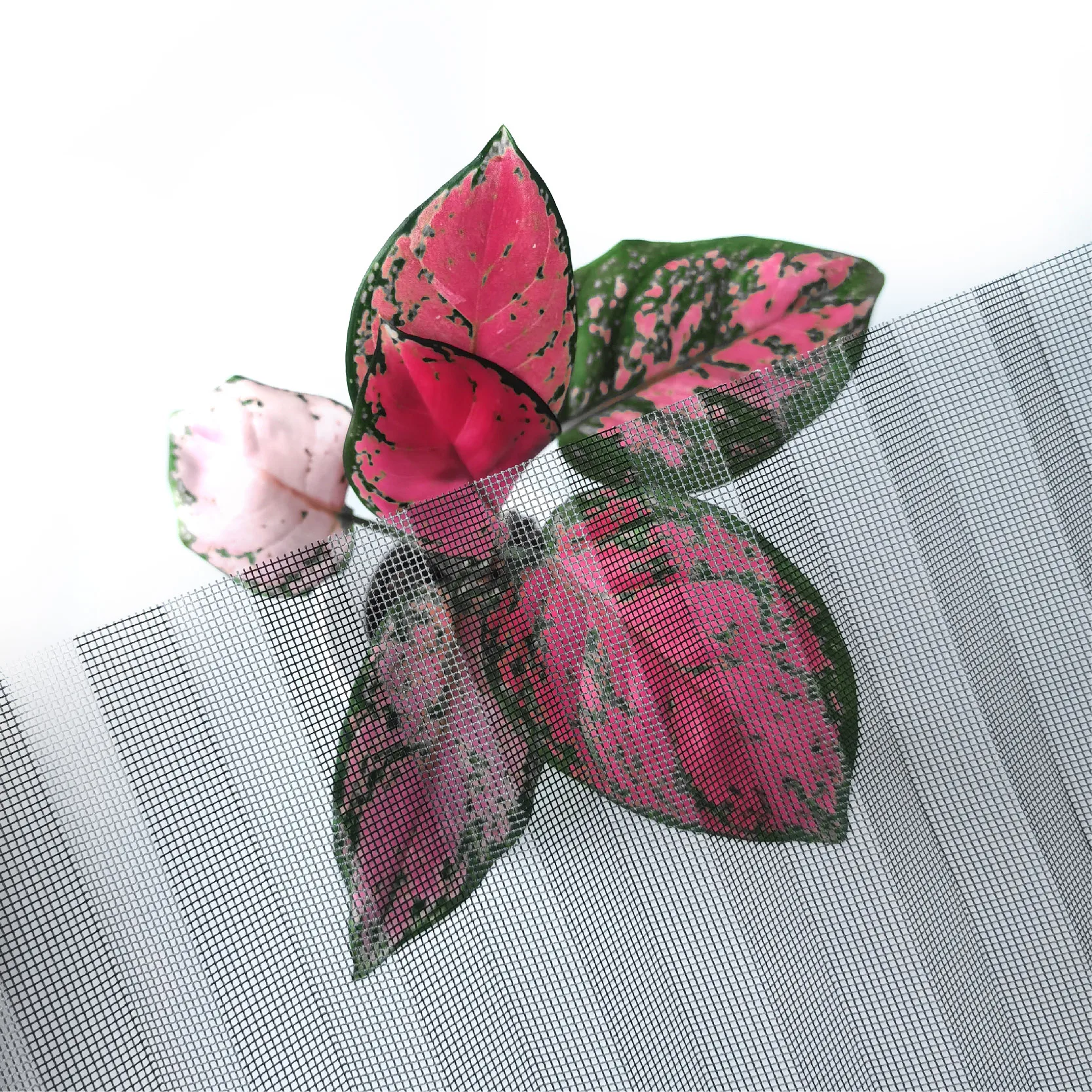 Polyester Pleated Insect Screen Mosquito Net For Retractable Windows Doors Plisse Fold Polyester Mesh