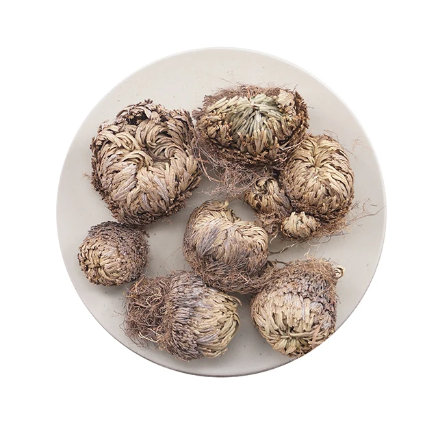  High Quality Dried Selaginella tamariscina Chinese herb
