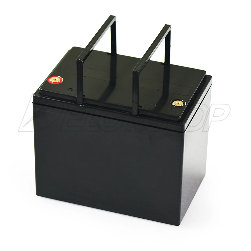 Lifepo4 12v 50ah 18ah 24ah 30ah Battery Lithium Ion Battery Built Bms For Solar Home System/ Camping Car And Marine Use