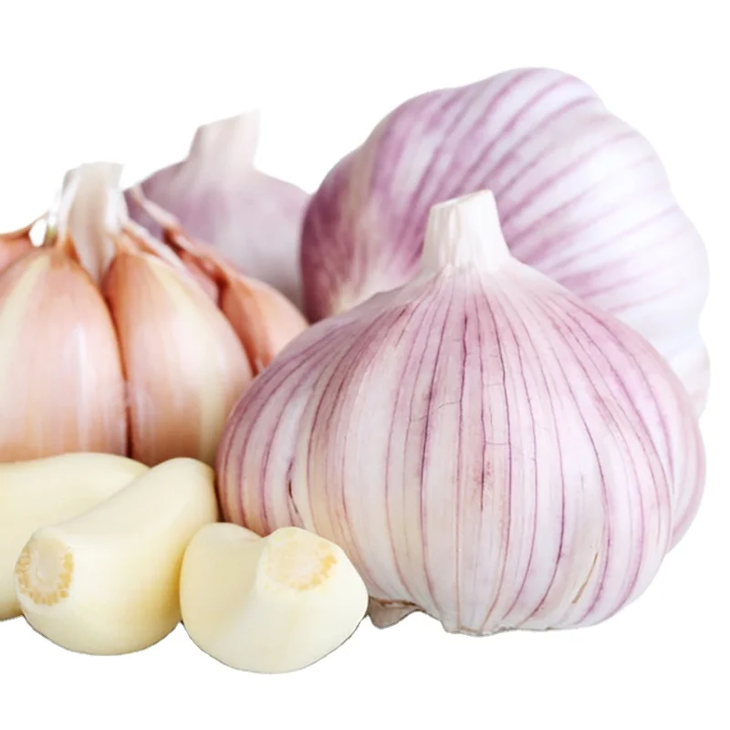 
2020 hot sales Chinese best new crop natural fresh white garlic 