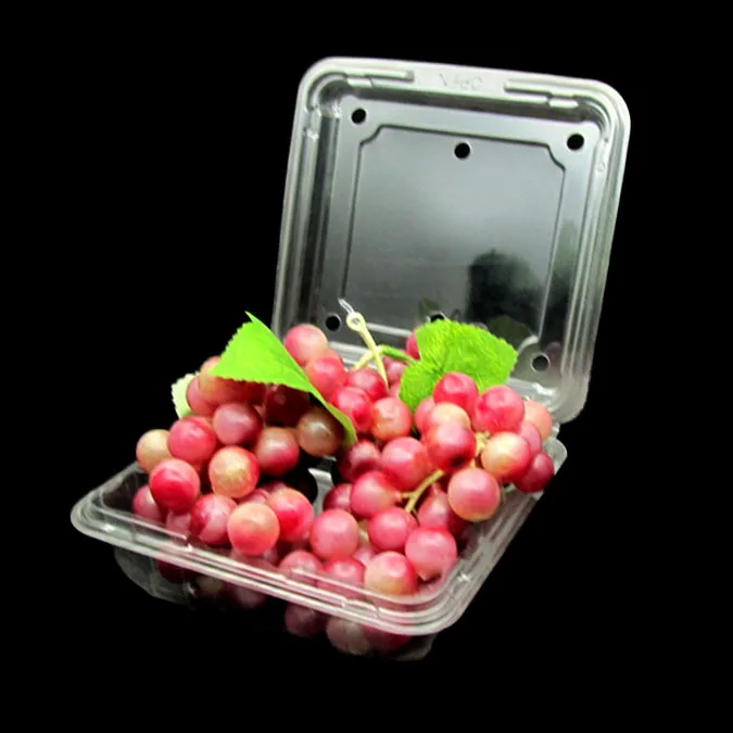 
800g WHOLESALE Transparent PET PP PLA Disposable Plastic Cut Fruit Salad Container 