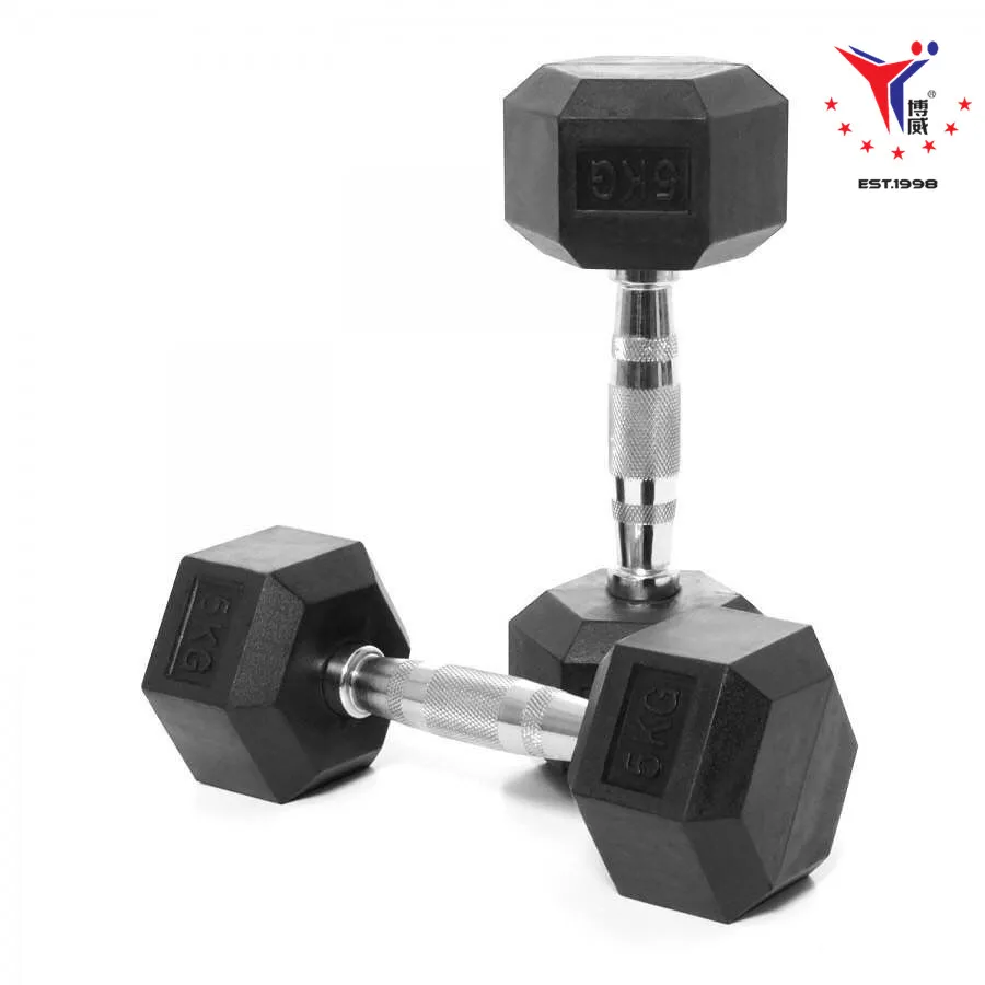 Wholesale Gym Fitness Accessories Hexagon Dumbbell Set