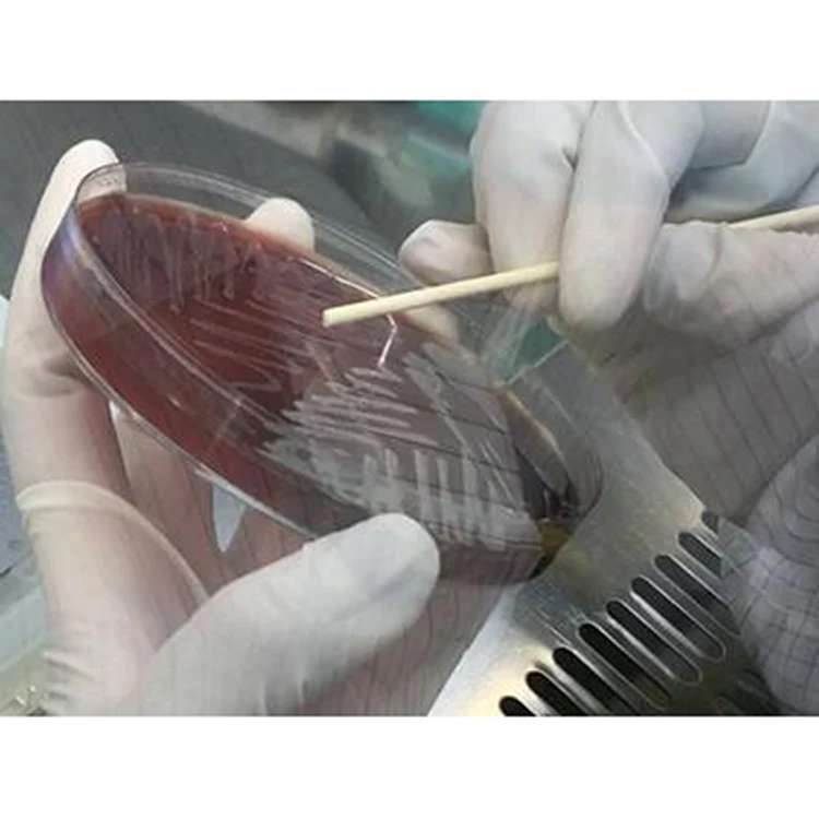 MD100 Manufacturers High Performance Low Price Lab Device Mass Spectrometer