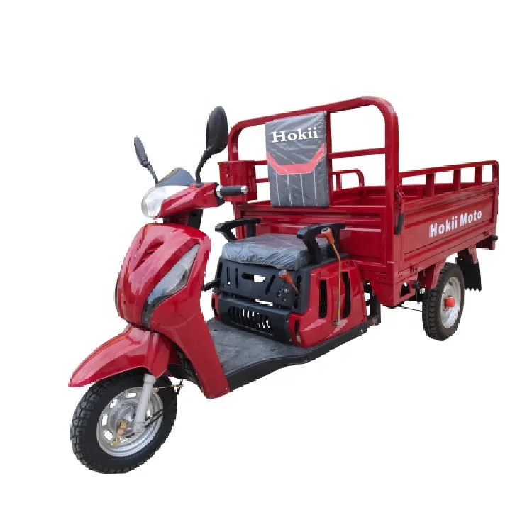 110cc Handicap Three Wheel Motorcycle Gas Powered Rusi Tricycle For The Elderly Tricycle Moto Reducteur