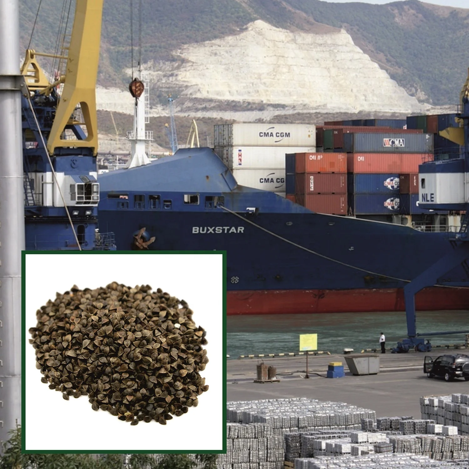 
High quality buckwheat 25/50 kg bags or in bulk, product of Russia 