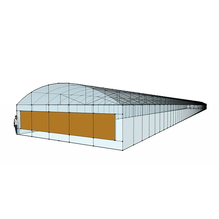 MYXL Low Cost High Economy Efficiency Greenhouses Single-span Greenhouse China Manufacturer
