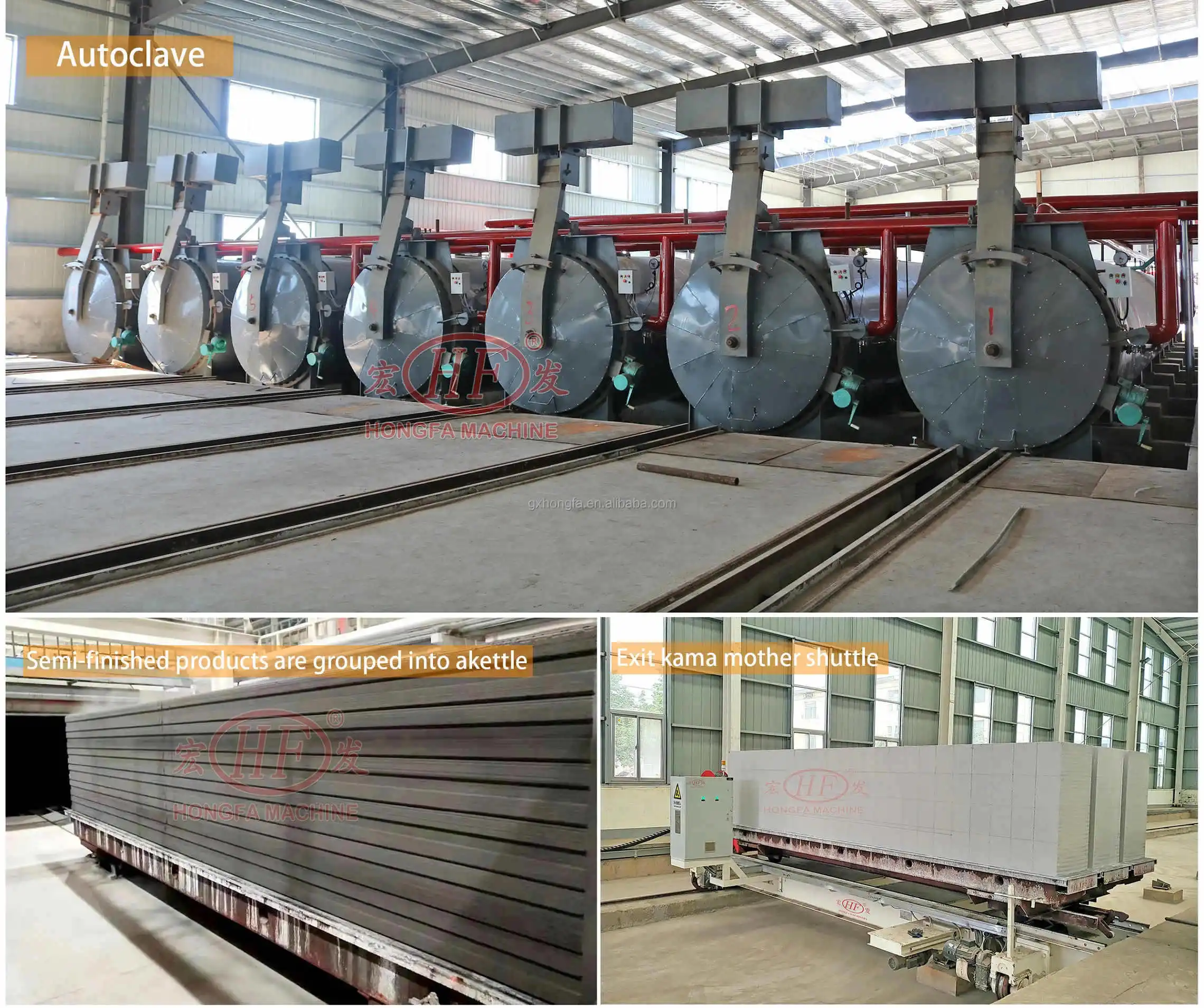 AAC plant01