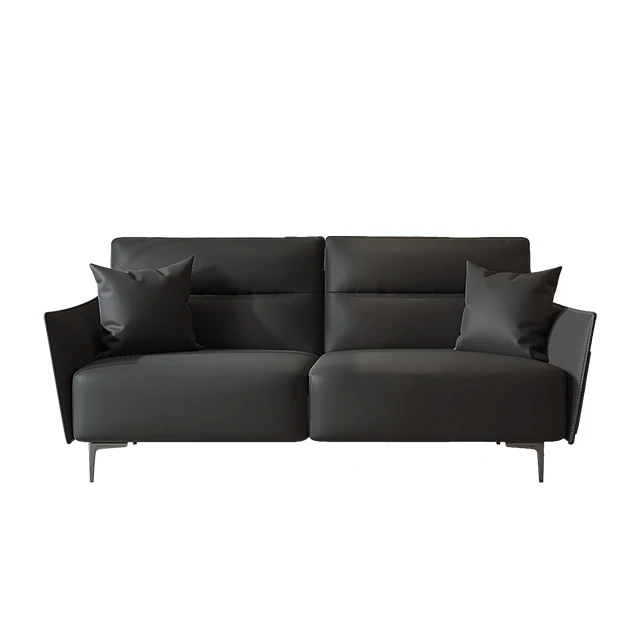 Nordic  apartment living room light luxury fabric sofa modern minimalist classic sponge  technology fabric lovers seat sofa