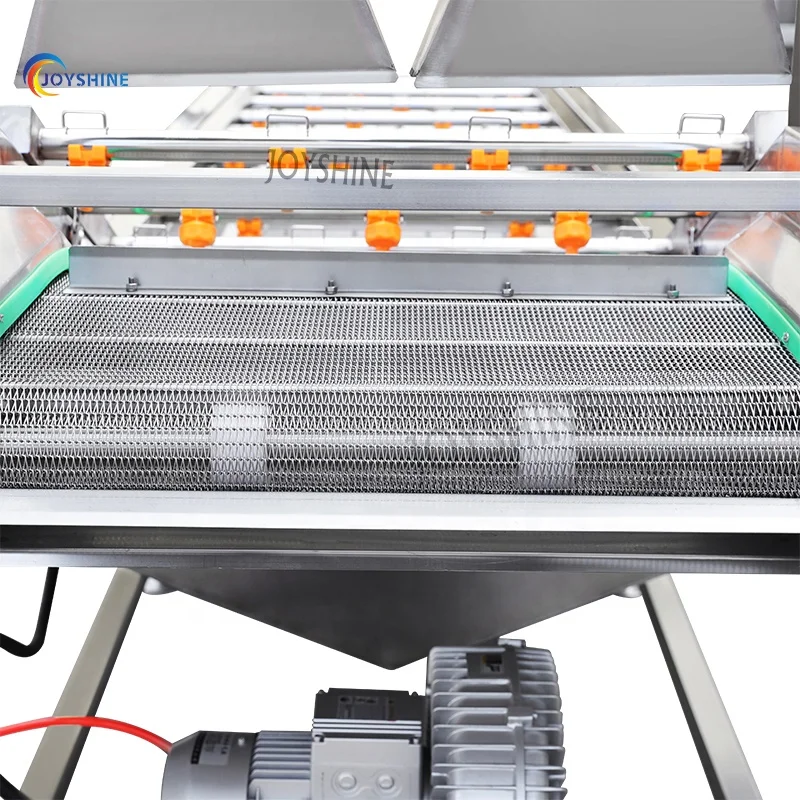 Industrial Vegetable Fruit Bubble Washing Machine Potato Tomato Leafy Vegetable Washer Machine