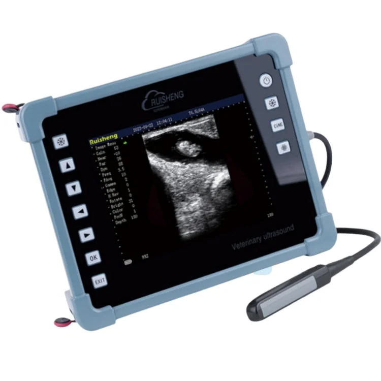 Veterinary Abdominal Cattle Back Fat Ultrasonido Vet Ultrasound Dawei Sheep Sonar Scanners