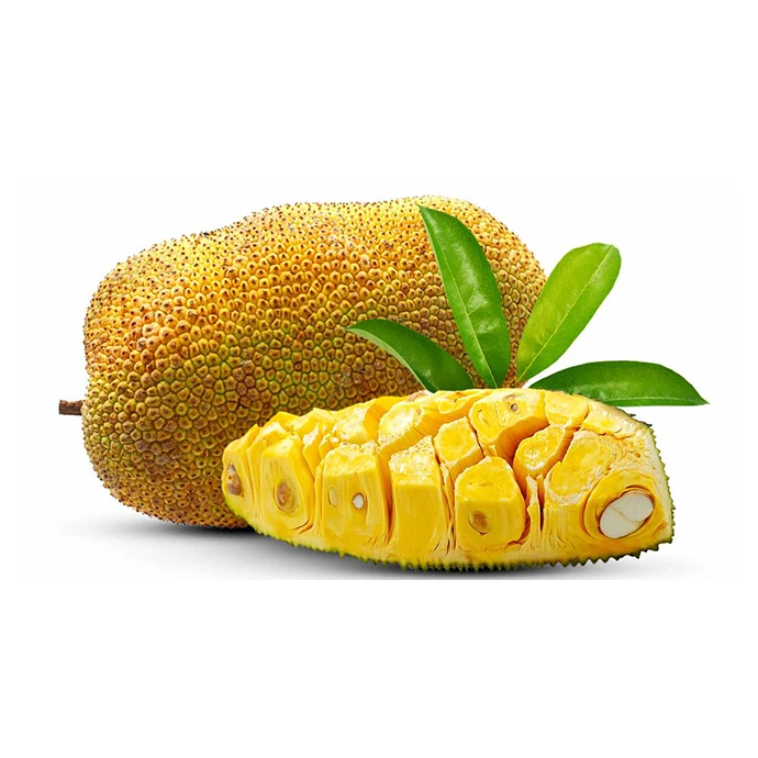 Свежий Премиум Jackfruit Горячая Распродажа Новый высшее качество, Лучшая цена, непосредственно от производителей в Мексике от MX (1600640701618)