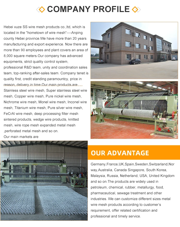 80x100mm 2x1x1 pvc galfan 260gsm galvanized wire mesh gabion baskets box