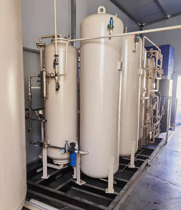 Customized Medical Oxygen Generator PSA Oxygen Generating Plant for Sale