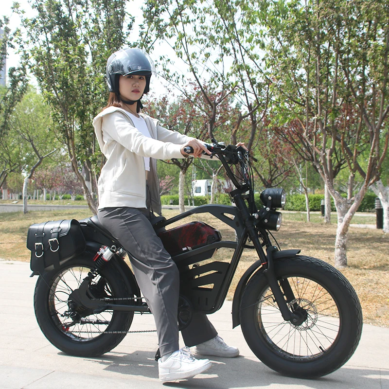 1500w 48V 1500w vintage super cool mtb snow 20 inch e bike 1500w ebike dirt bike for adult