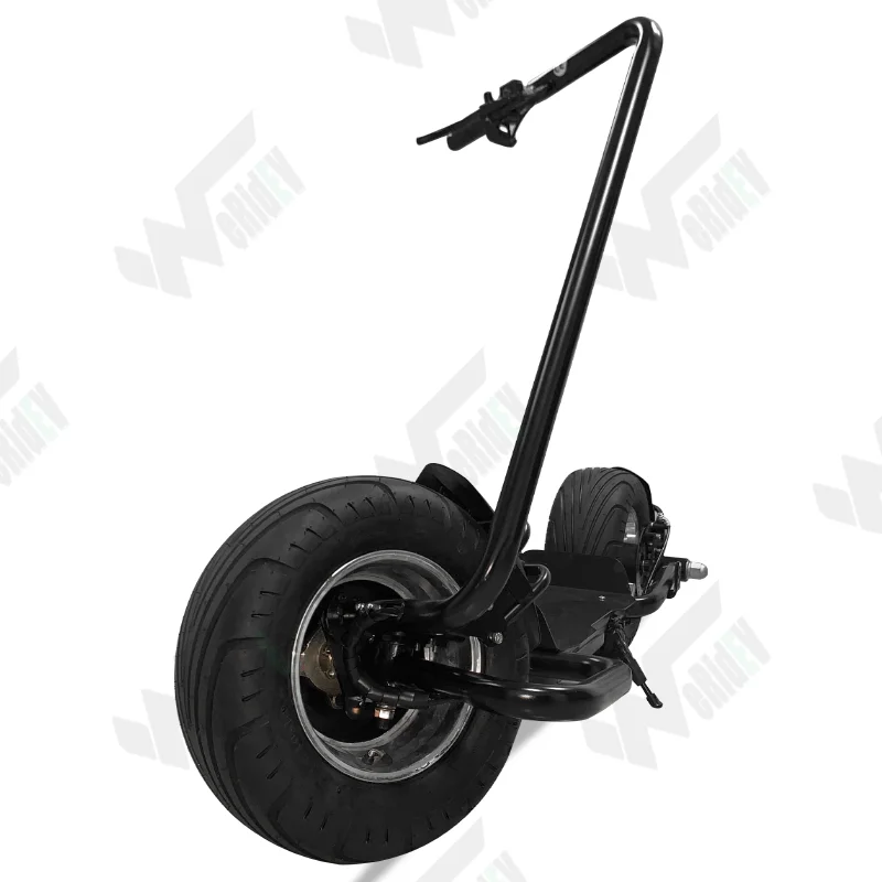 Two Wheels Off Road Scooter with 1000w Electric Scooter Motor