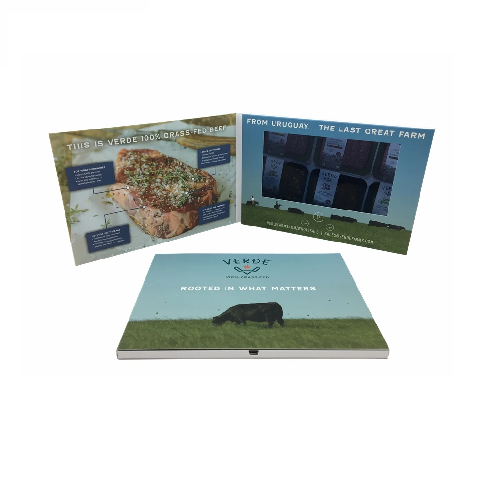 IPS Screen 7 Inch 2G Memory A5 A4 Size Digital Module LCD Video Brochure Card Digital Catalog Advertising Card